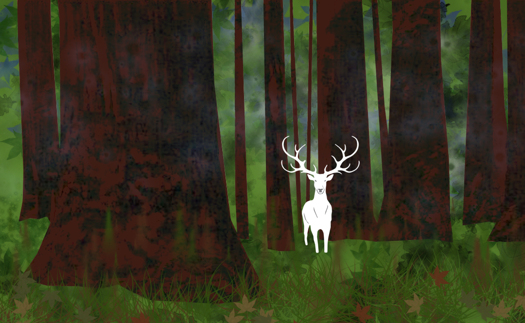 white stag in the wood
